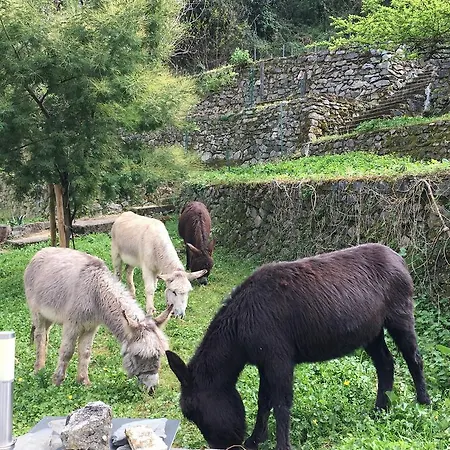 Villa Ilaria La Spezia